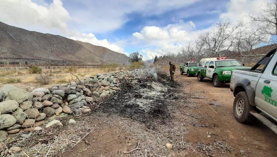 Fiscalización de quemas ilegales de residuos agrícolas y forestales deja 4 detenidos en Putaendo