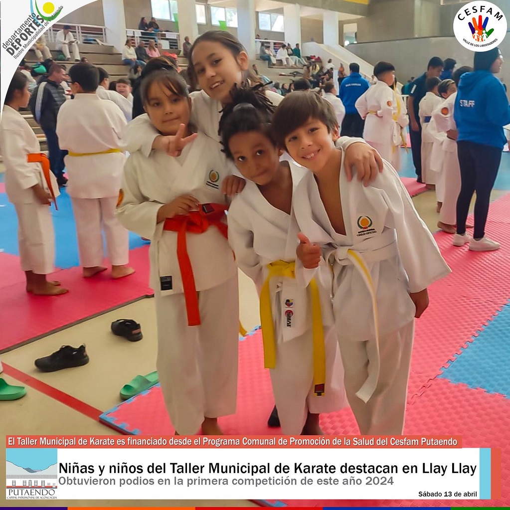 Niñas y niños del “Taller Municipal de Karate de Putaendo” obtienen importantes logros en campeonato realizado en la comuna de Llay Llay