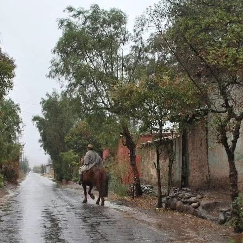 Se esperan  lluvias moderadas,  con ráfagas que podrían superar los 50 km/h